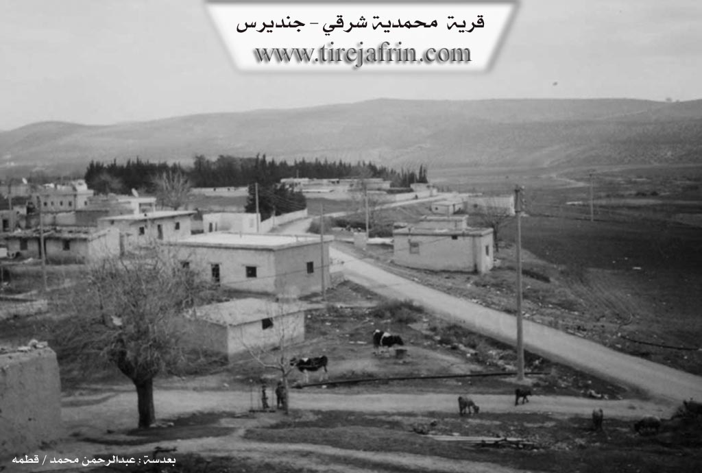 Photo of Mehmediyê Şerqî